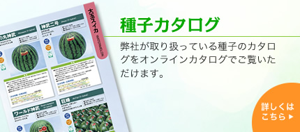 種子カタログ　弊社が取り扱っている種子のカタログをオンラインカタログでご覧いただけます。