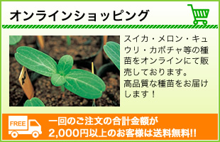 オンラインショッピング　スイカ・メロン・キュウリ・カボチャ等の種苗をオンラインにて販売しております。高品質な種苗をお届けします！