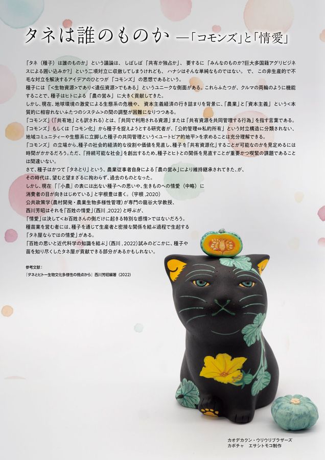 KANDA SEED LIFE 2026-2027